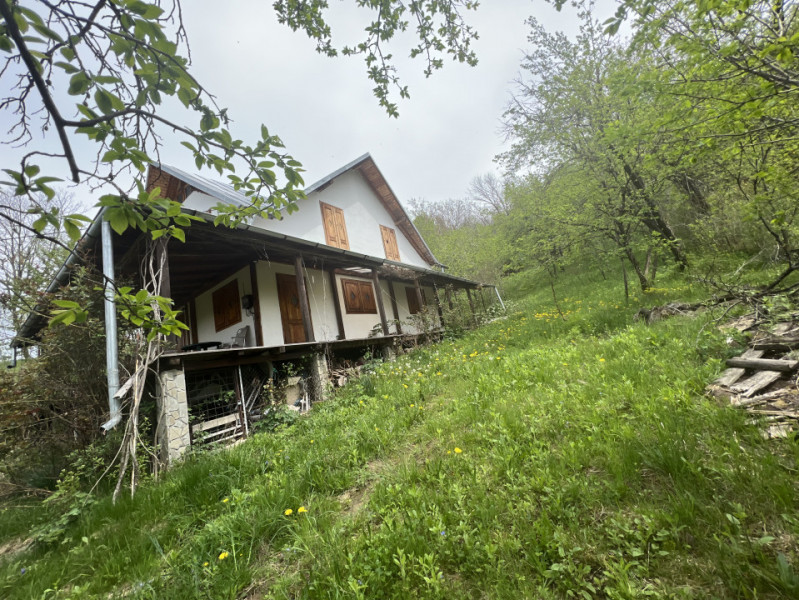 Casa Drajna de Sus, 2005