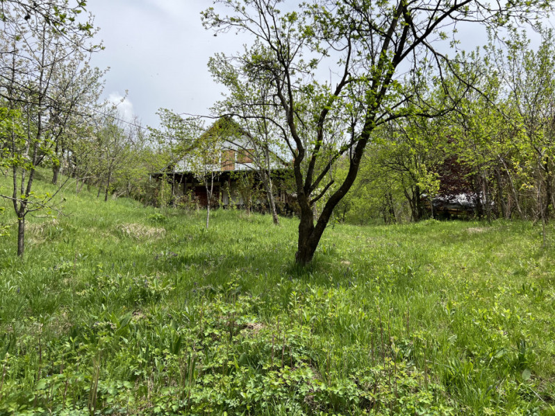 Casa Drajna de Sus, 2005